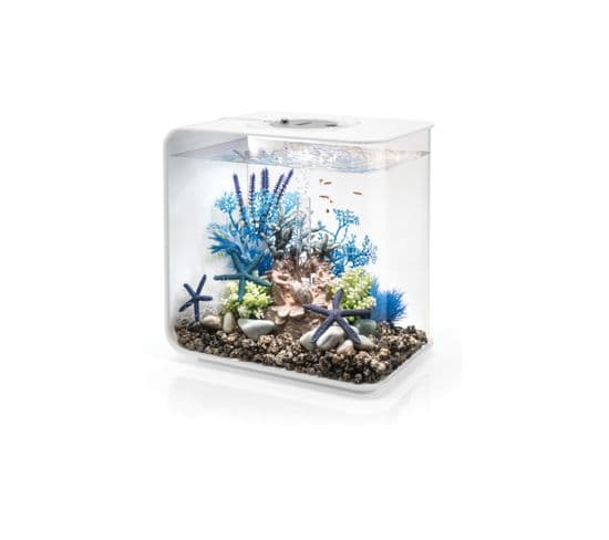 Aquarium Décoratif 30l Mcr Avec Cadre Blanc - Flow30mcr White