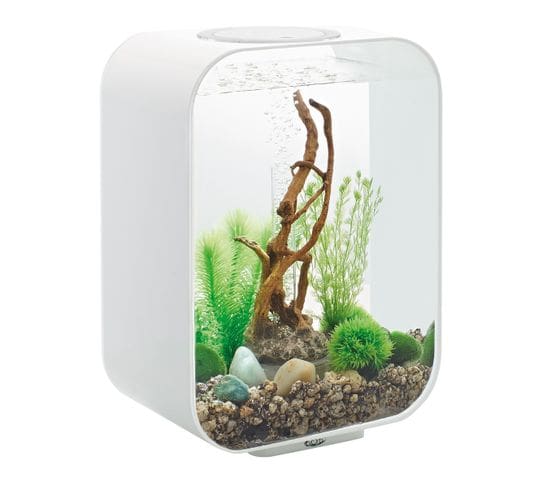 Aquarium Décoratif 15l Avec Cadre Blanc - Life 15 Mcr White