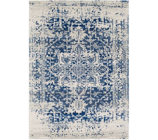 Tapis Vintage Oriental Bleu/beige 200x275