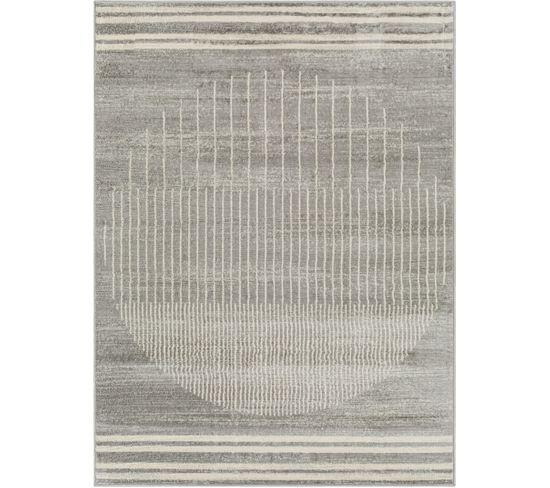 Tapis Scandinave Moderne Gris/beige 160x215