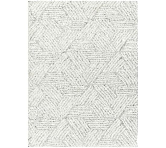 Tapis Shaggy Moderne Blanc/gris 160x213