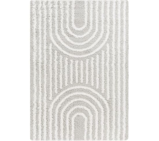 Tapis Shaggy Scandinave Blanc/gris 160x220