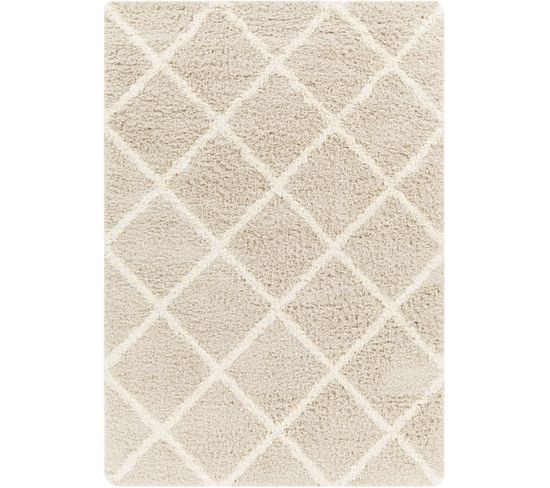 Tapis Shaggy Scandinave Bohème Blanc/beige 160x220