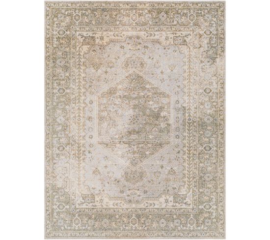 Tapis Vintage Lavable En Machine Vert/brun 160x213