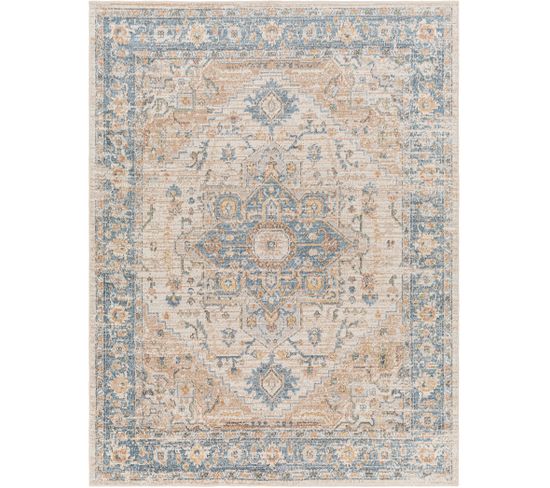 Tapis Vintage Lavable En Machine Marron/bleu 160x213