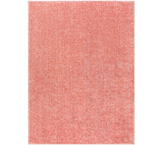 Tapis Shaggy Moderne Rose 160x213