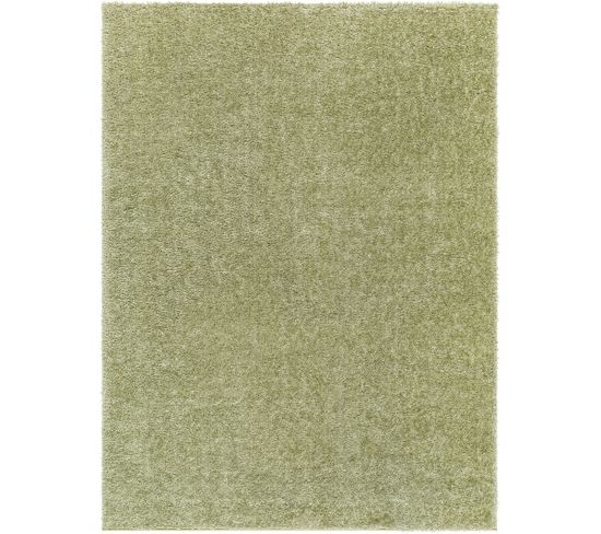 Tapis Shaggy Moderne Vert 200x275