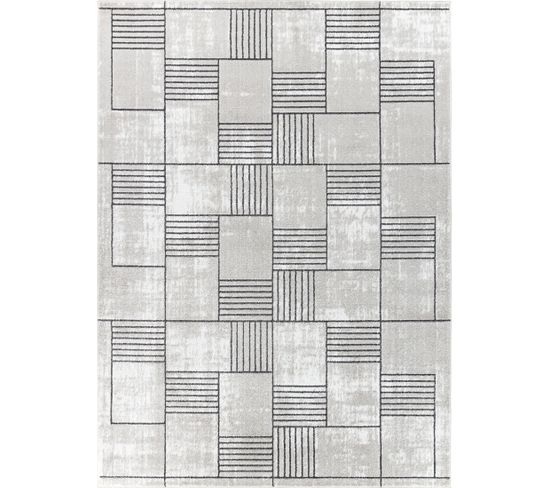 Tapis Scandinave Moderne Gris 200x275