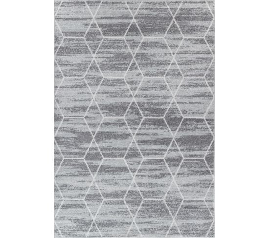 Tapis Scandinave Moderne Gris/blanc 160x220