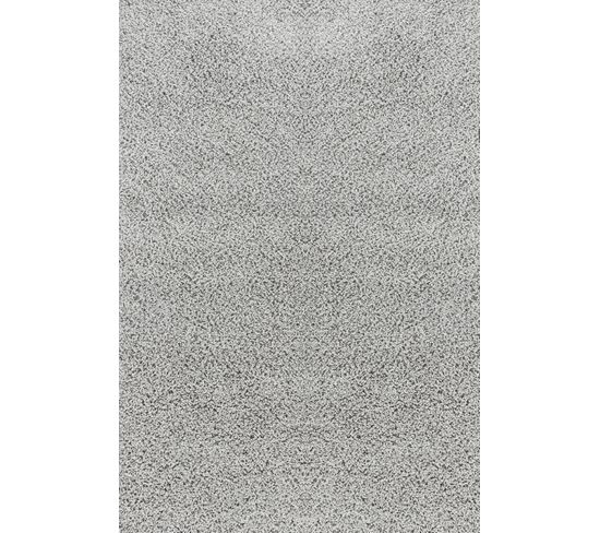 Tapis Shaggy Moderne Gris160x220