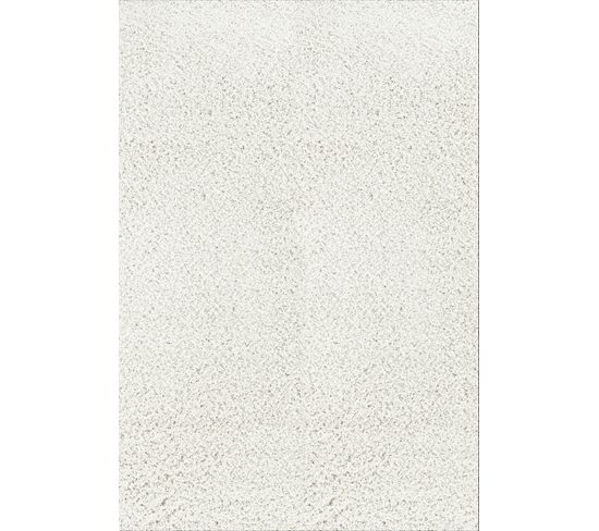 Tapis Shaggy Moderne Blanc 160x220