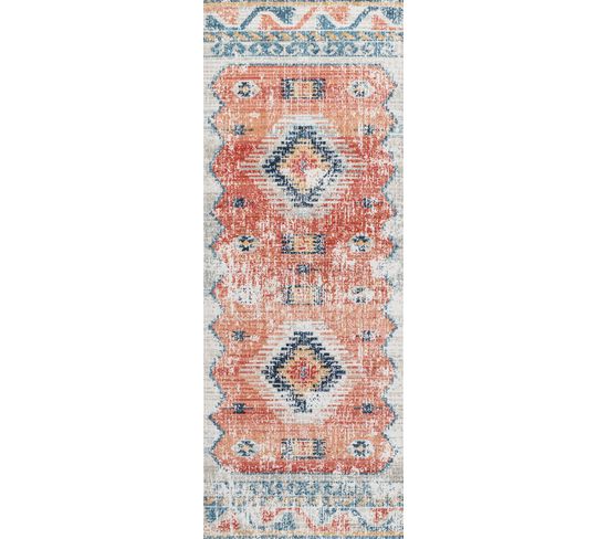 Tapis D'extérieur/intérieur Rouge/bleu 80x220