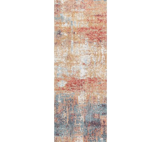 Tapis D'extérieur/intérieur Rouge/bleu 80x220