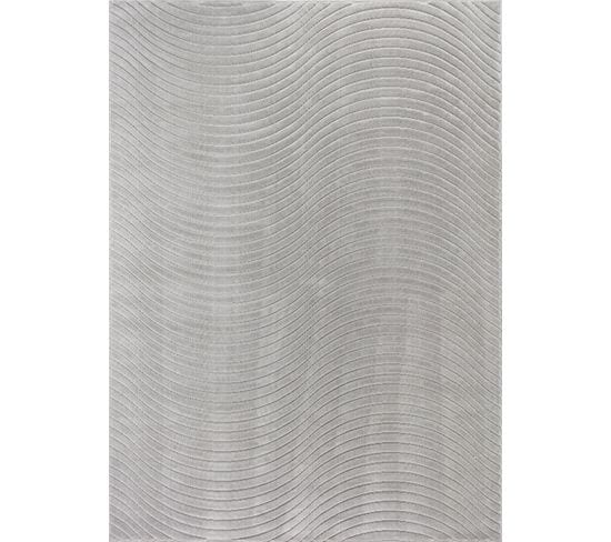 Tapis D'intérieur/extérieur Scandinave Moderne Gris 160x220