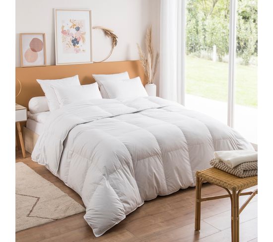 Couette Jade Chaude - 40% Duvet 200 X 200 Cm Blanc