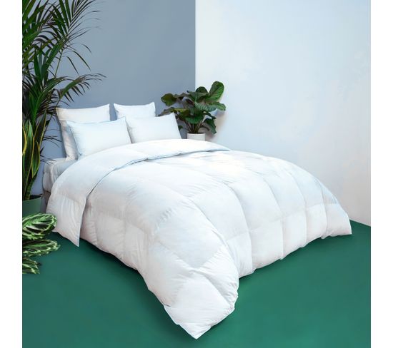 Couette Temperee Toucher Duvet - Coton - Violette 200 X 200 Cm Blanc