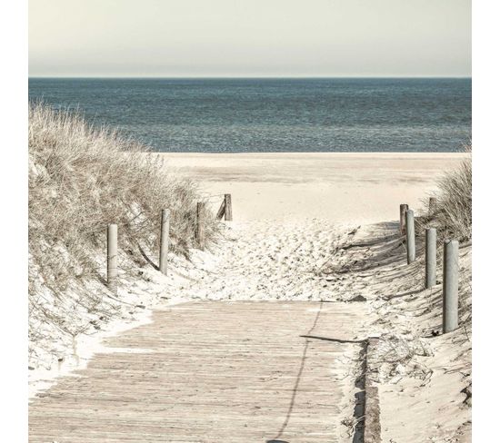 Tableau Sur Toile Descente Vers La Plage 65x65 Cm