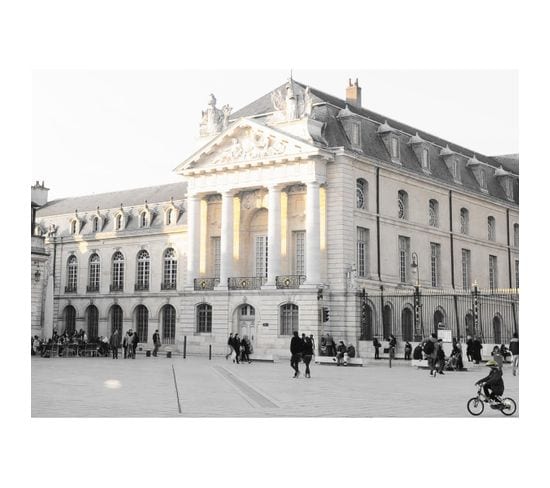 Tableau Sur Toile Place De La Libération Dijon 45x65 Cm