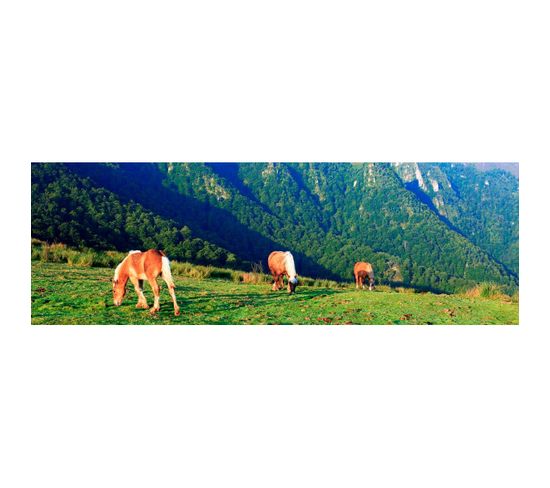 Tableau Sur Toile Chevaux Gavarnie 30x97 Cm