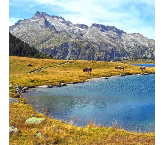 Tableau Sur Toile Lac D'aumar 65x65 Cm