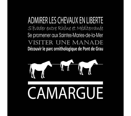 Tableau Sur Toile Camargue Noir 30x30 Cm