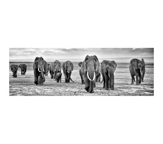 Tableau Sur Toile Troupeau D'éléphants Noir et Blanc 45x135 Cm