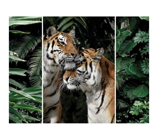 Triptyque Sur Toile Couple De Tigres 125x97 Cm