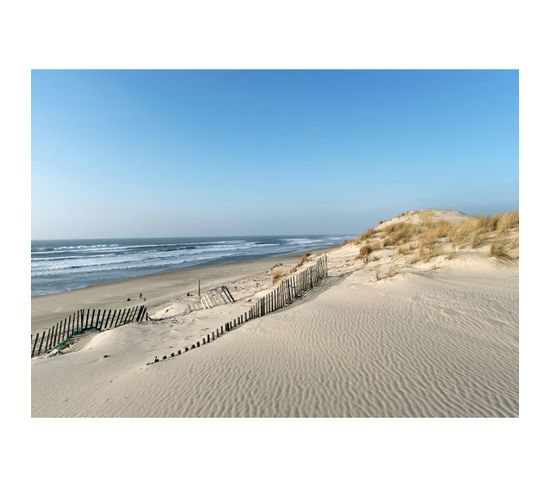 Tableau Sur Verre Dune Littoral 30x45 Cm