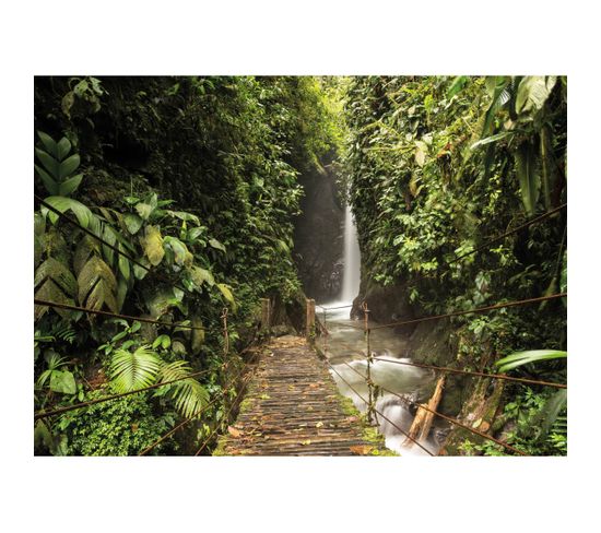 Tableau Sur Toile Forêt Tropicale 65x97 Cm