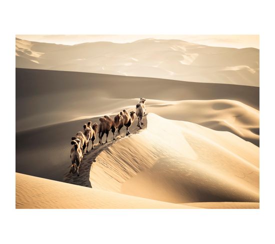 Tableau Sur Toile Chameaux et Dunes 45x65 Cm