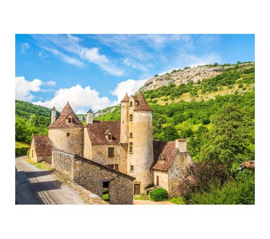 Tableau Sur Toile Château Limargue 100x140 Cm