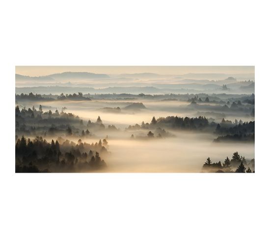 Tableau Sur Verre Synthétique Brume Matinale 65x145 Cm