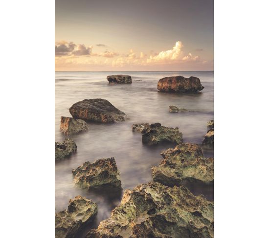 Tableau Sur Toile Plage De Mexico 65x97 Cm