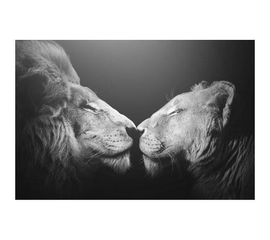 Tableau Sur Toile Bisou De Lion 45x65 Cm