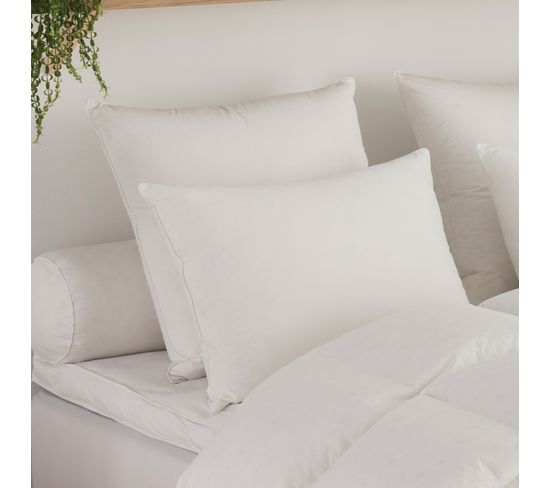 Oreiller Micro Green Toucher Duvet Medium 40 X 60 Cm Blanc