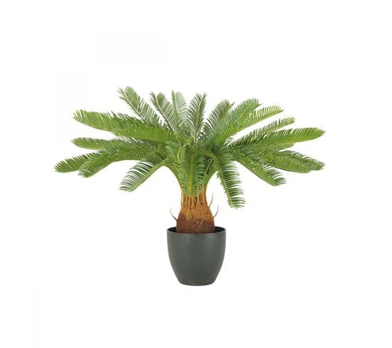 Palmier Artificiel Cycas 70cm