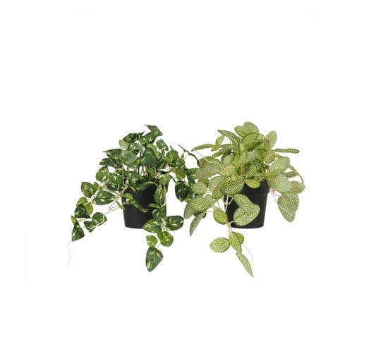 Plante Verte Artificielle Tombante 18cm Lot De 2