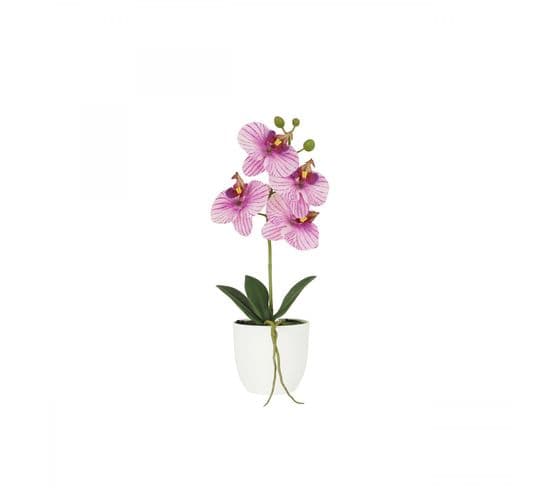 Orchidee Artificielle Veinee 35cm