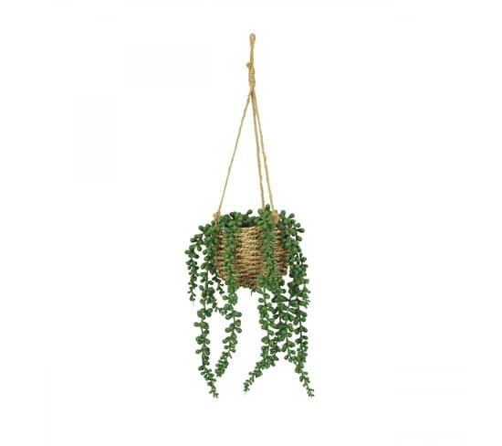 Succulente Artificielle Suspension 60cm