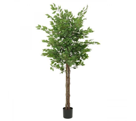 Ficus Artificiel Vert 180cm