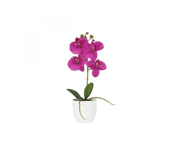 Orchidee Artificielle Fuchsia 35cm