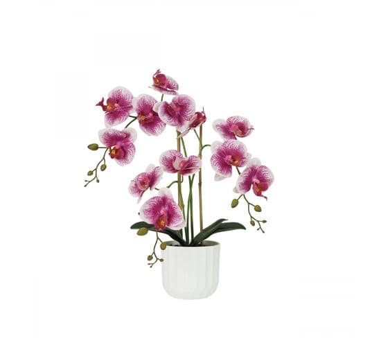 Orchidee Artificielle Blanc-fuchsia 50cm