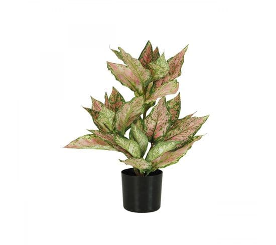 Croton Artificiel Rose 55cm