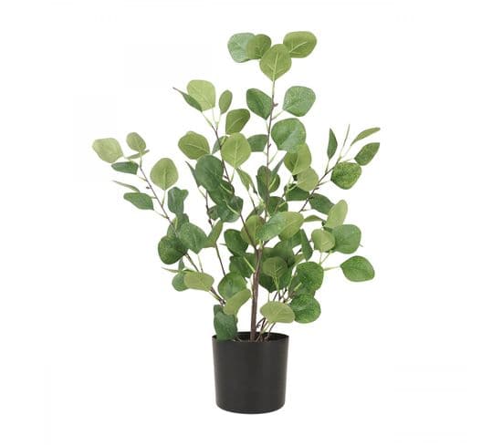 Eucalyptus Artificiel Vert 60cm