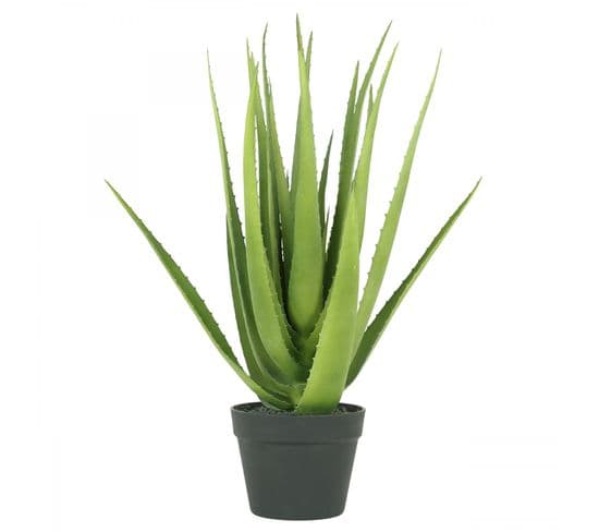 Aloe Vera Artificiel 60cm