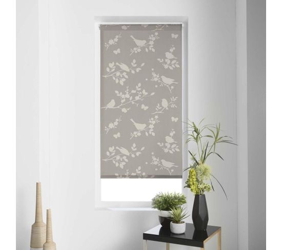 Store Enrouleur Japonais 60x90 Cm Rossignol Taupe