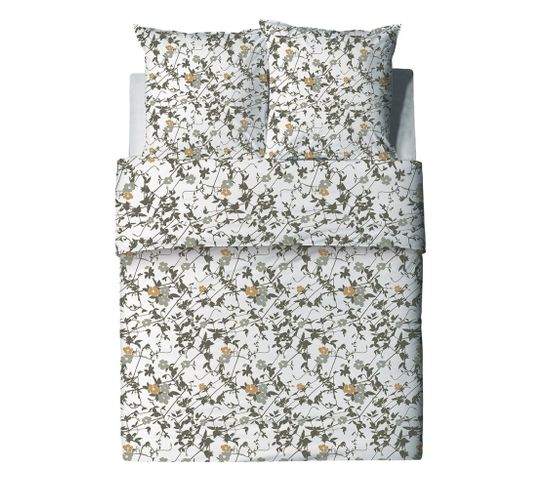 Housse De Couette 240x220 Hoya + 2 Taies Coton 57 Fils