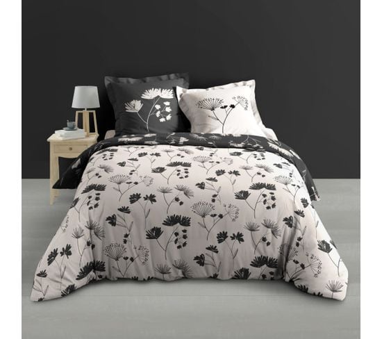 Housse De Couette 240x220 + 2 Taies Iris Coton Percale 78 Fils