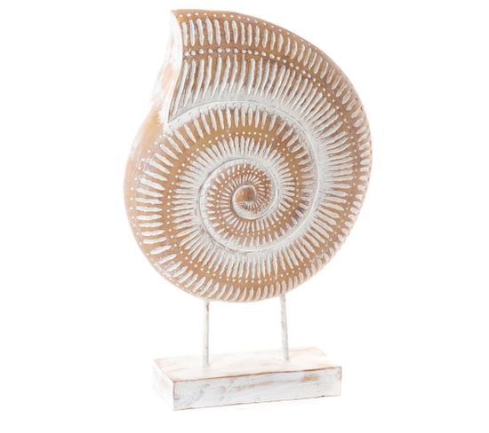 Coquillage Sur Socle 48 Cm