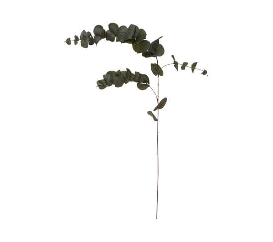 Fleur Artificielle Tige Eucalyptus H 118 Cm